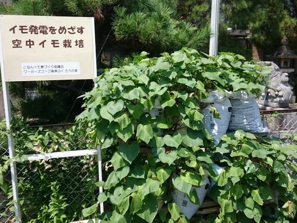 関西事業本部所長合宿　共生社会を学ぶため　滋賀地方自治研究センター 中西さん、 なんてん協働サービス 溝口さんが講演