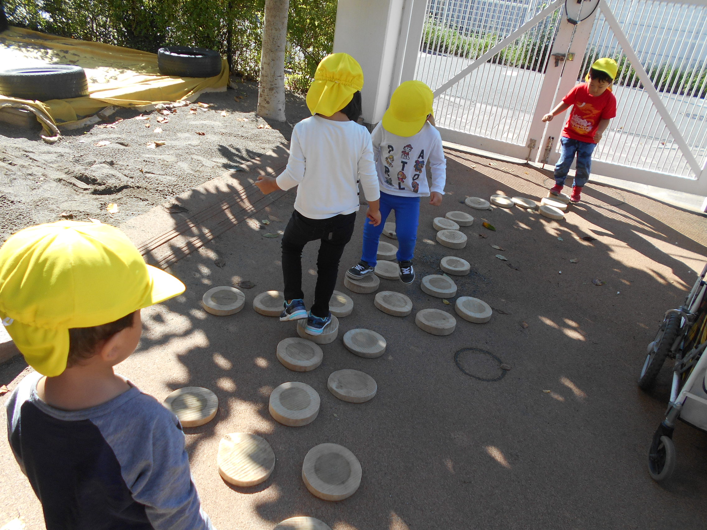 東京・板橋　こぶし保育園　兵庫・豊岡NGTから丸太の輪切り 　子どもたち考えながら遊ぶ