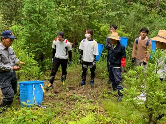 鹿児島エリア　事業所が力合わせ、若者が技を継ぐ仕事へ　杉の穂木を採りに山へ、苗作り