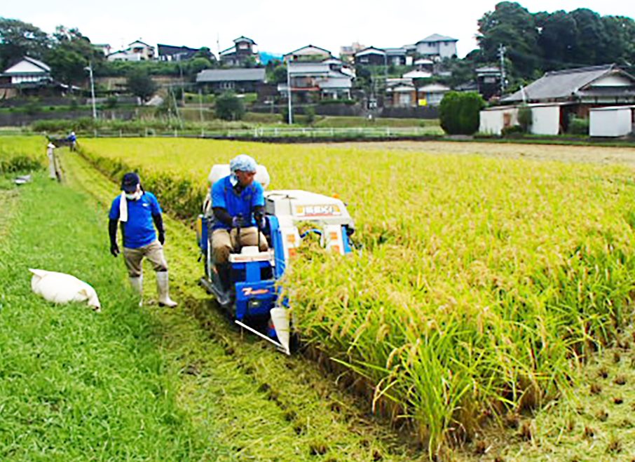 ワーカーズコープ山口「みんなで作ってみんなで食べる田んぼ」　ついに達成！組合員１人１俵