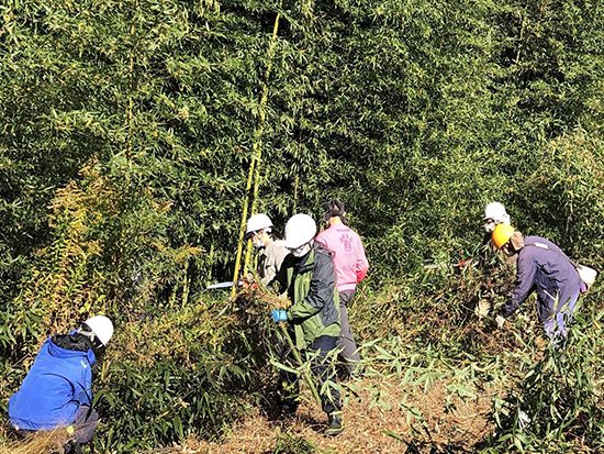 埼玉県ふじみ野市で竹林整備　ワーカーズ本部の活動グループ 「竹取物語」