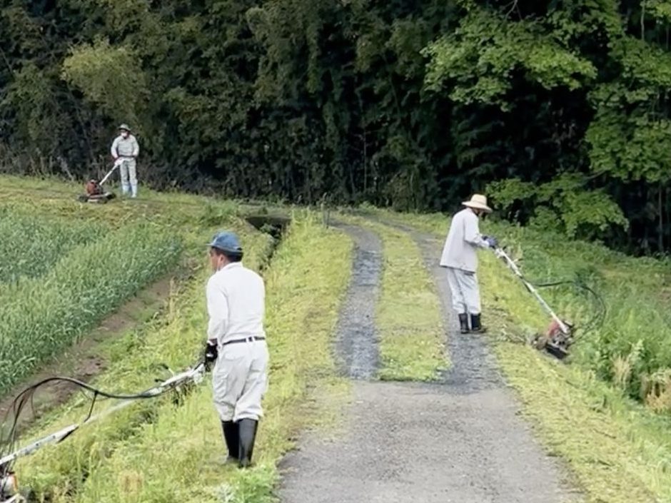 山口・宇部 　 生活困窮者自立支援の利用者らと　農家の困りごと畑や畦の草刈り