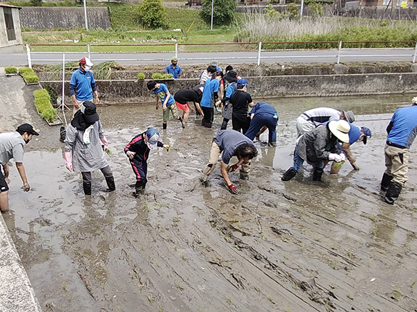 ワーカーズコープ山口 　「みんなで作ってみんなで食べる田んぼ」14年目