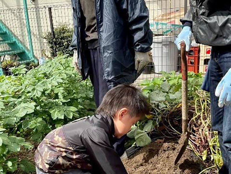 岡山高齢協「ピョンピョンひろば」　地域のみんなで芋ほり