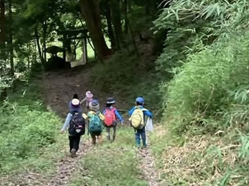 センター・但馬地福の暑さ対策　 林業、森のようちえん活動 　子どもと作った梅シロップ凍らせて