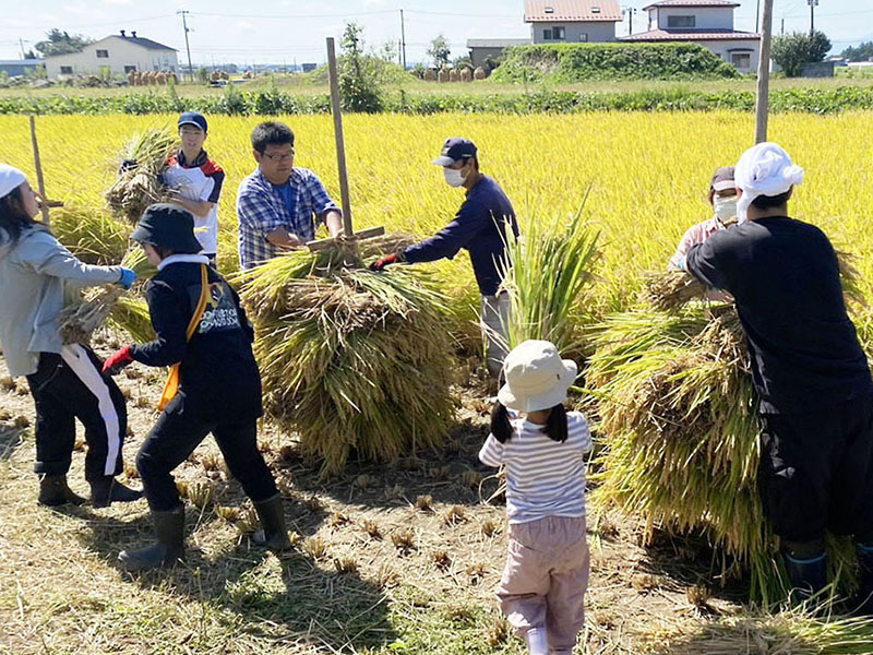 センター・南東北事業本部「みんなの田んぼ」　酷暑でも田尻アグリの支えで上々