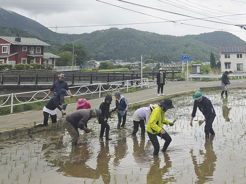 山梨　田植え体験5回目　「西桂自然学校」めざす